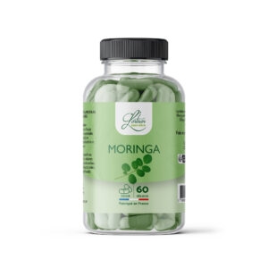 24 piluliers de 60 gélules de moringa